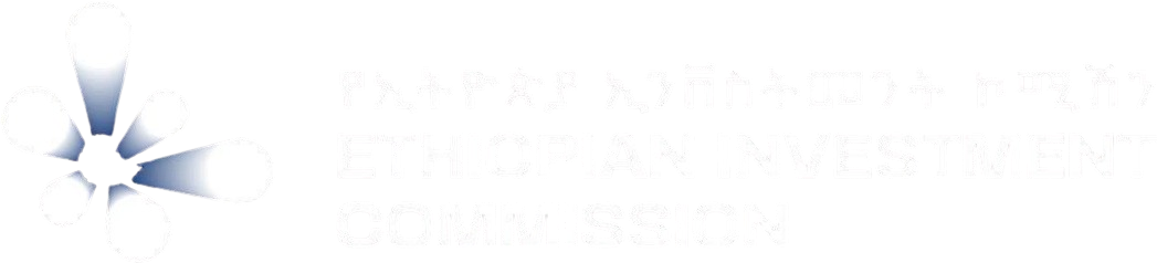 My Logo